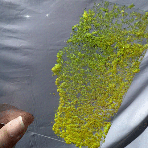 Sunshine Ice Flakes