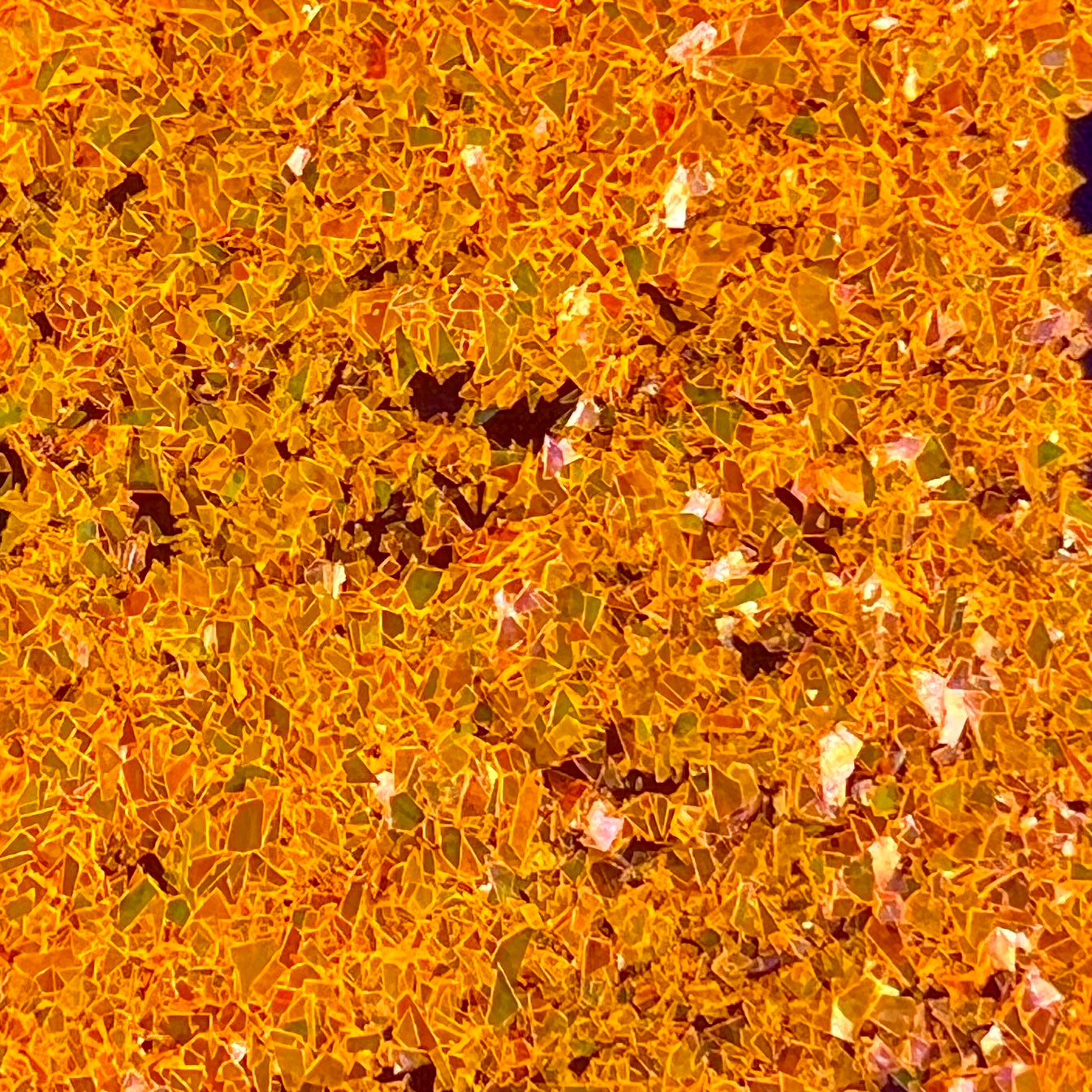 Electric Clementine Flakes