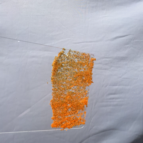 Electric Clementine Flakes