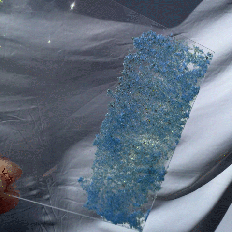 Electric Slipper Flakes