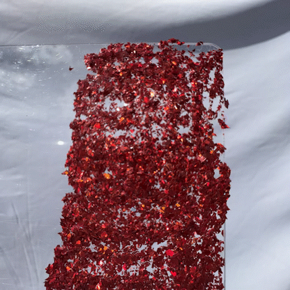 Dorothy's Red Flakes