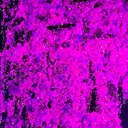 Spellbound